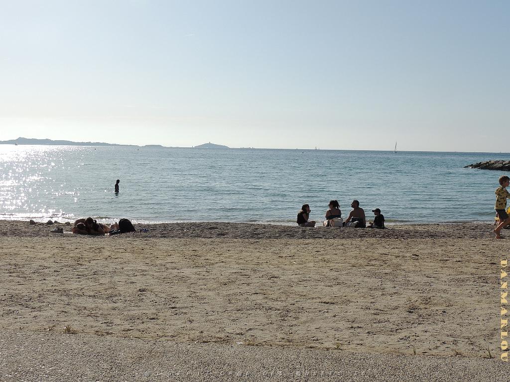 2024 11 02 EN FLANANT SUR SANARY (118).jpg